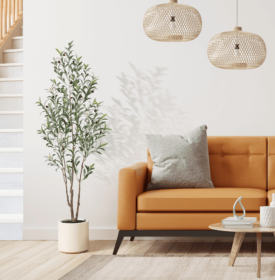 Simple Style Olive Tree (Option: 150cm)